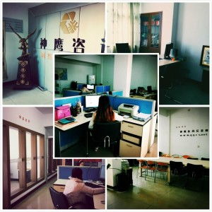 台州神鹰信息咨询服务